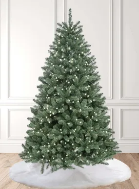 7' Hancock Spruce Artificial Christmas Tree 450 Warm White LED Lights