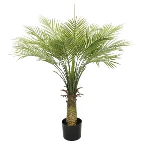 Baby Kentia Palm UV 95cm