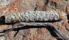 Blue Sage Smudge Bundle w/ Osha Root