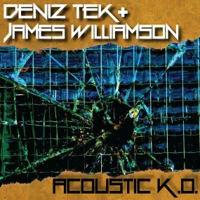 DENIZ TEK & JAMES WILLIAMSON "Acoustic K.O." CD